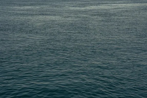 كازينو جاكبوت مولي الدعم